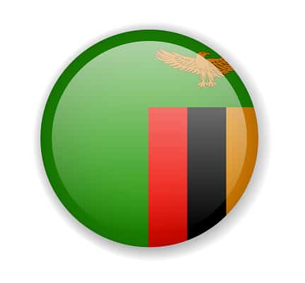 Zambia flag round bright icon vector Illustration